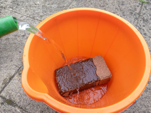 Adding Water to Coconut Coir Brick