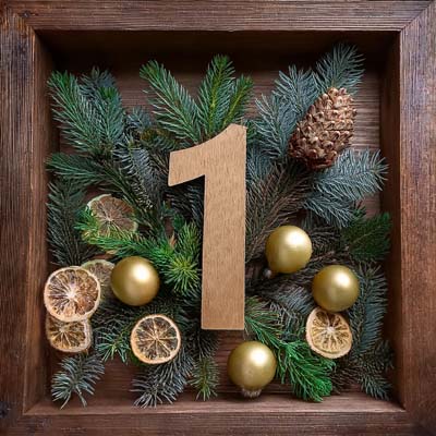 Advent Calendar of Christmas Plants - Door 1