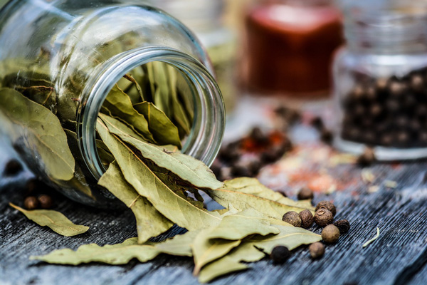 A close-up of dried Bay Laurel leaves spilling out of a glass jar onto a rustic wooden surface. Surrounding the leaves are scattered peppercorns and blurred spice jars in the background, creating a warm, culinary-focused scene.