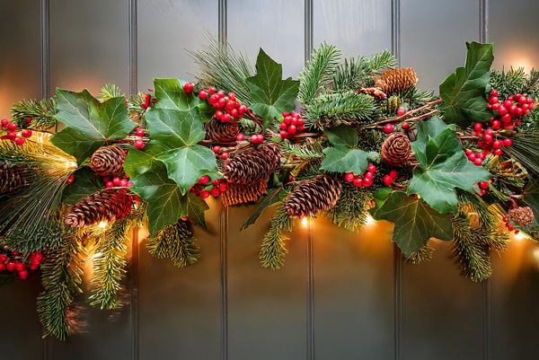 Christmas Garland with Ivy Intertwined