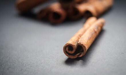 From Tree Bark to Christmas Treats: The Story of Cinnamon