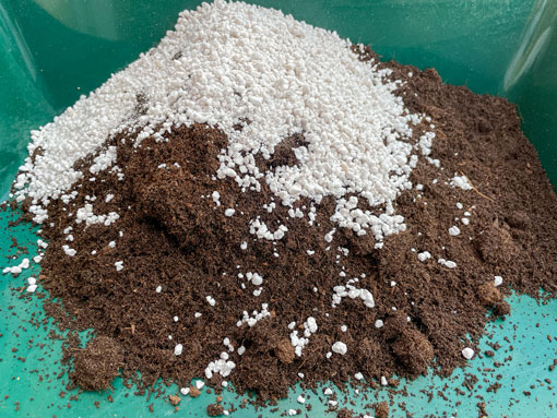 Compost and Perlite Mix