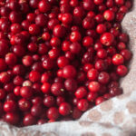 The Journey of Cranberries to Festive Table