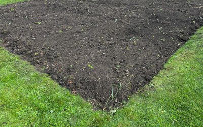 Fallow Allotment Bed