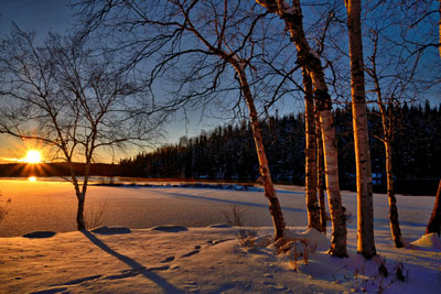 Winter sunset and forest